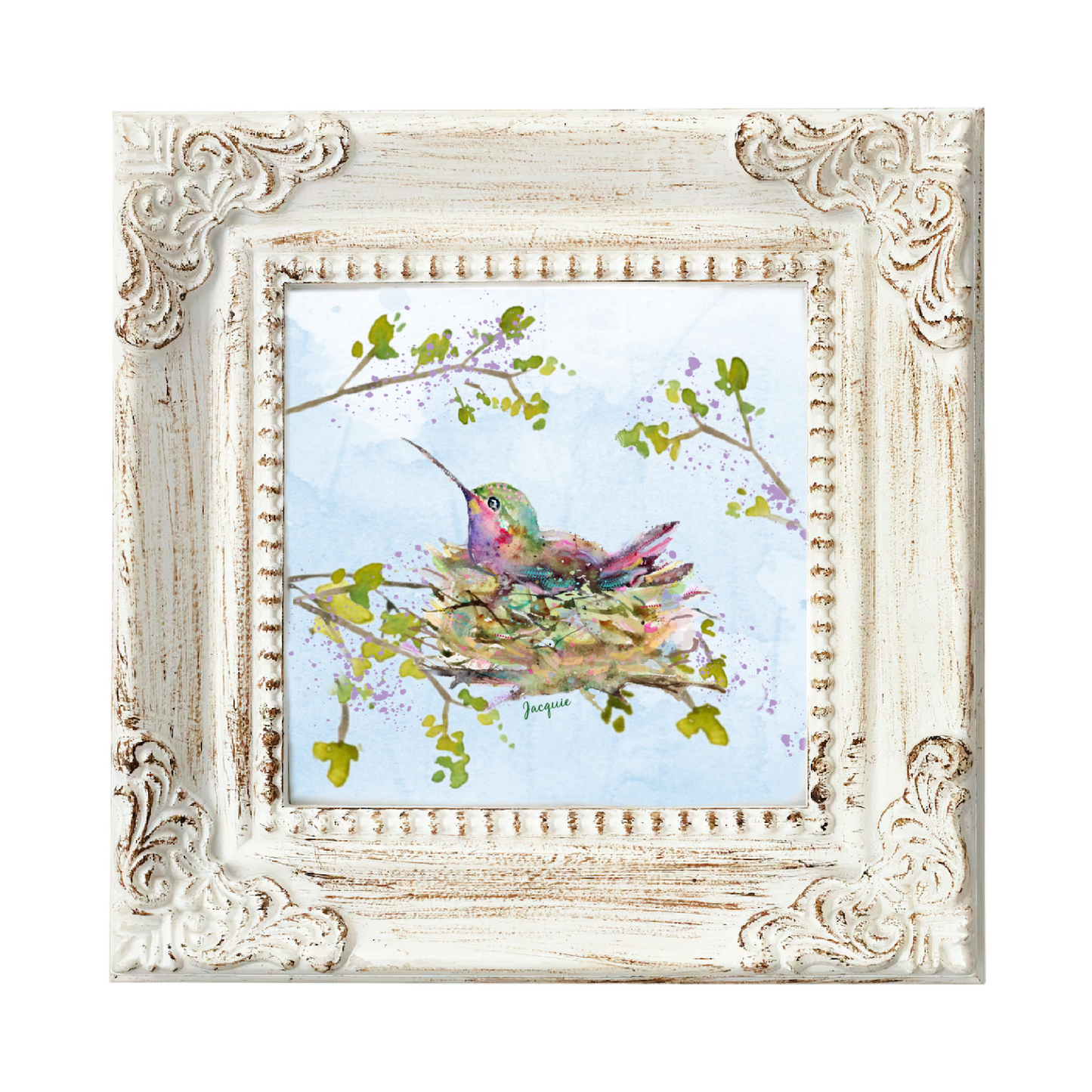 Hummingbird in Nest