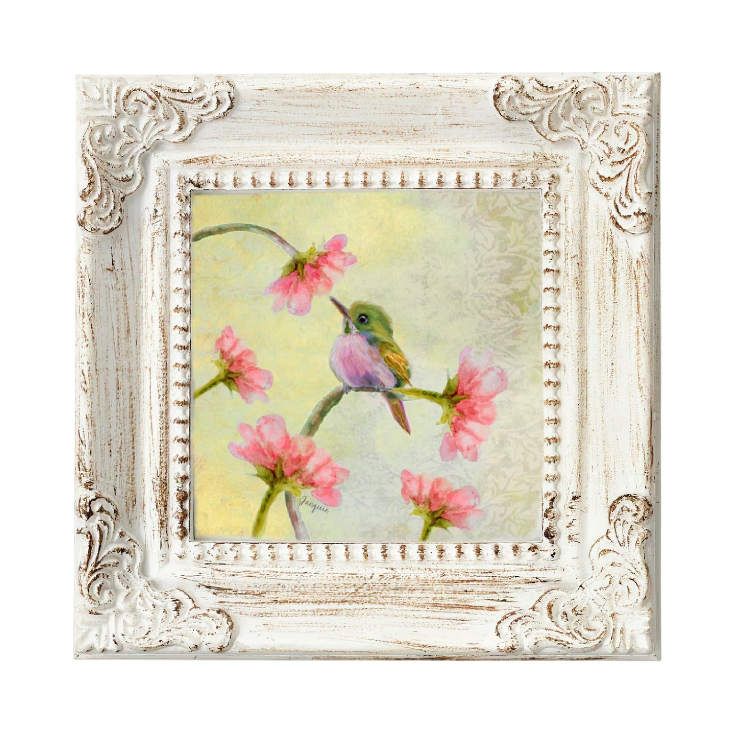 Hummingbird Baby