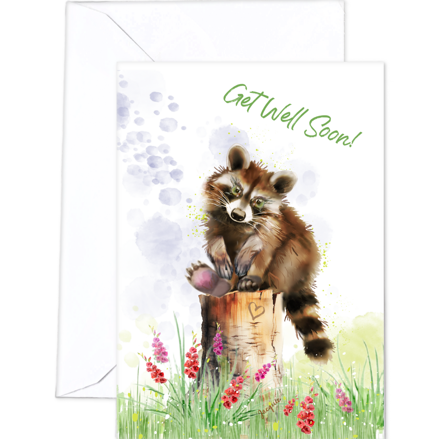 Raccoon