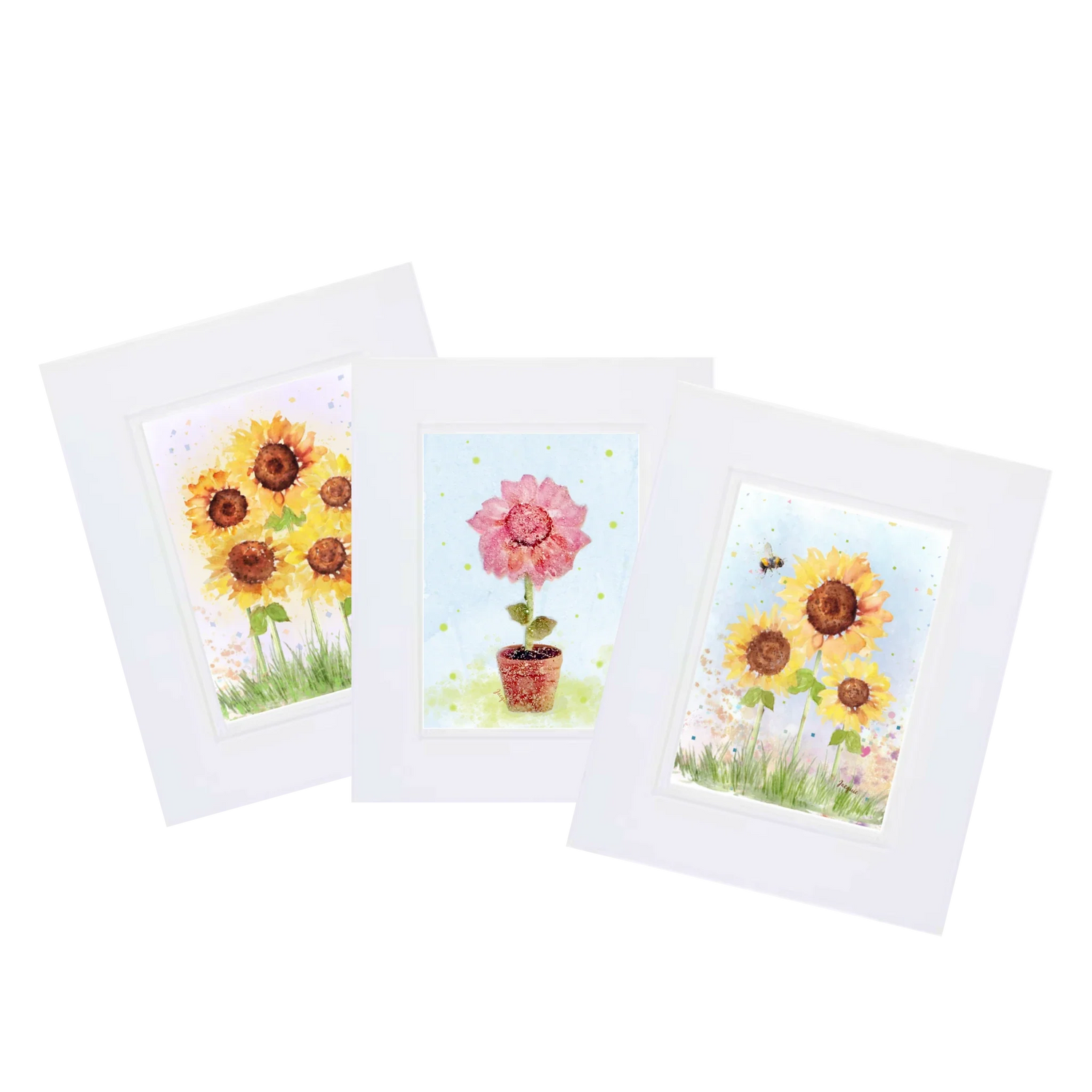 Sunflower Collection