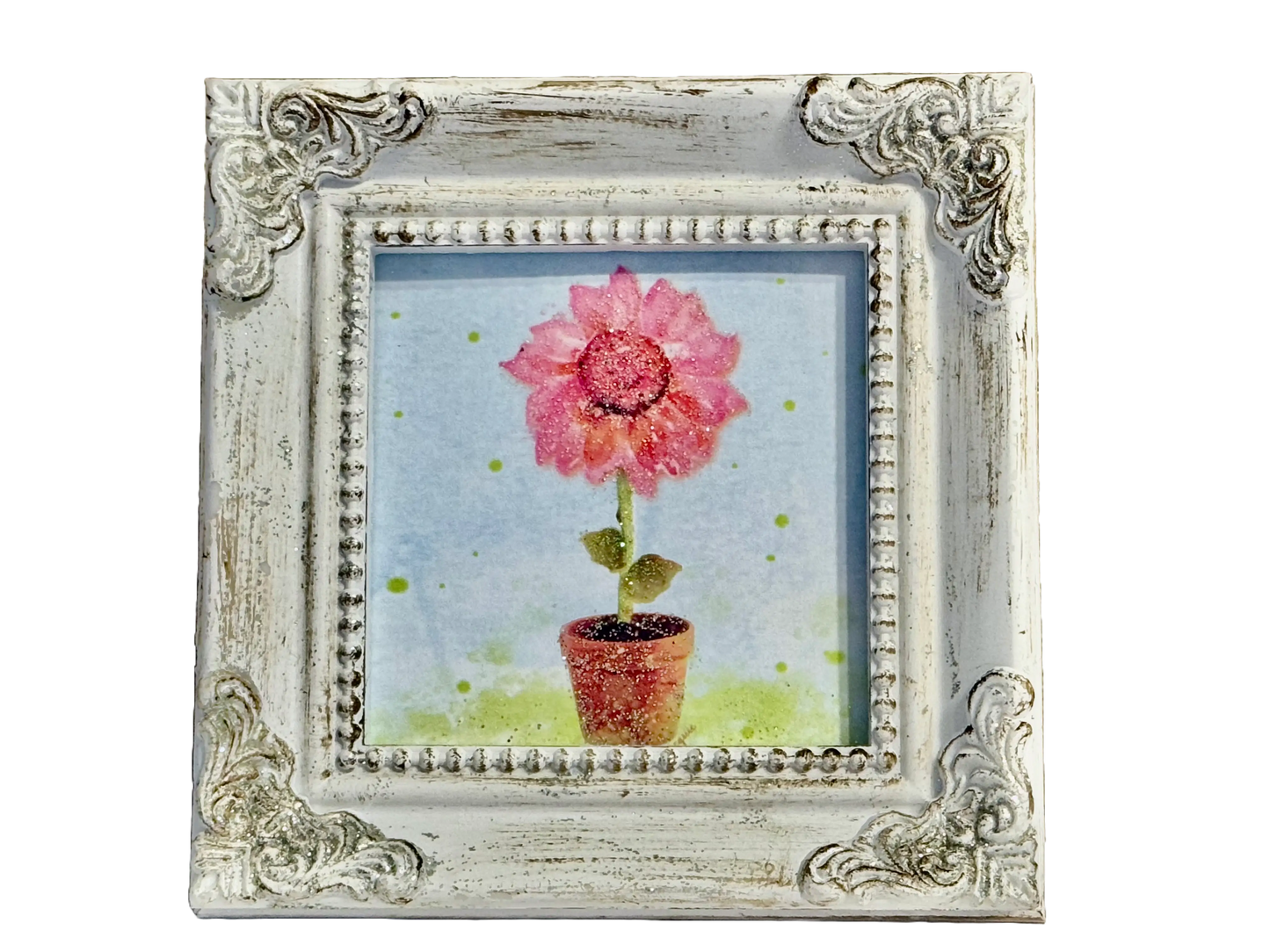 Pink Sunflower