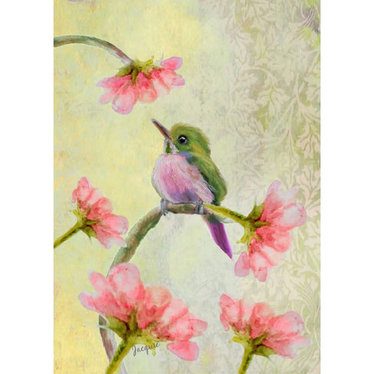 Hummingbird Baby