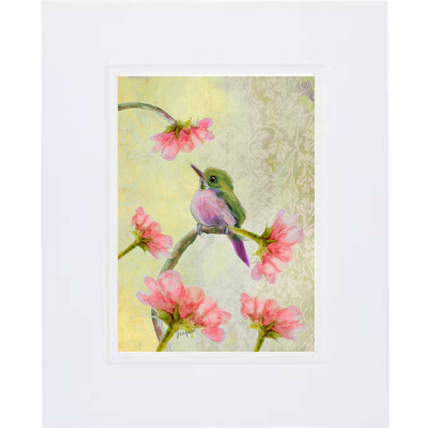Hummingbird Baby