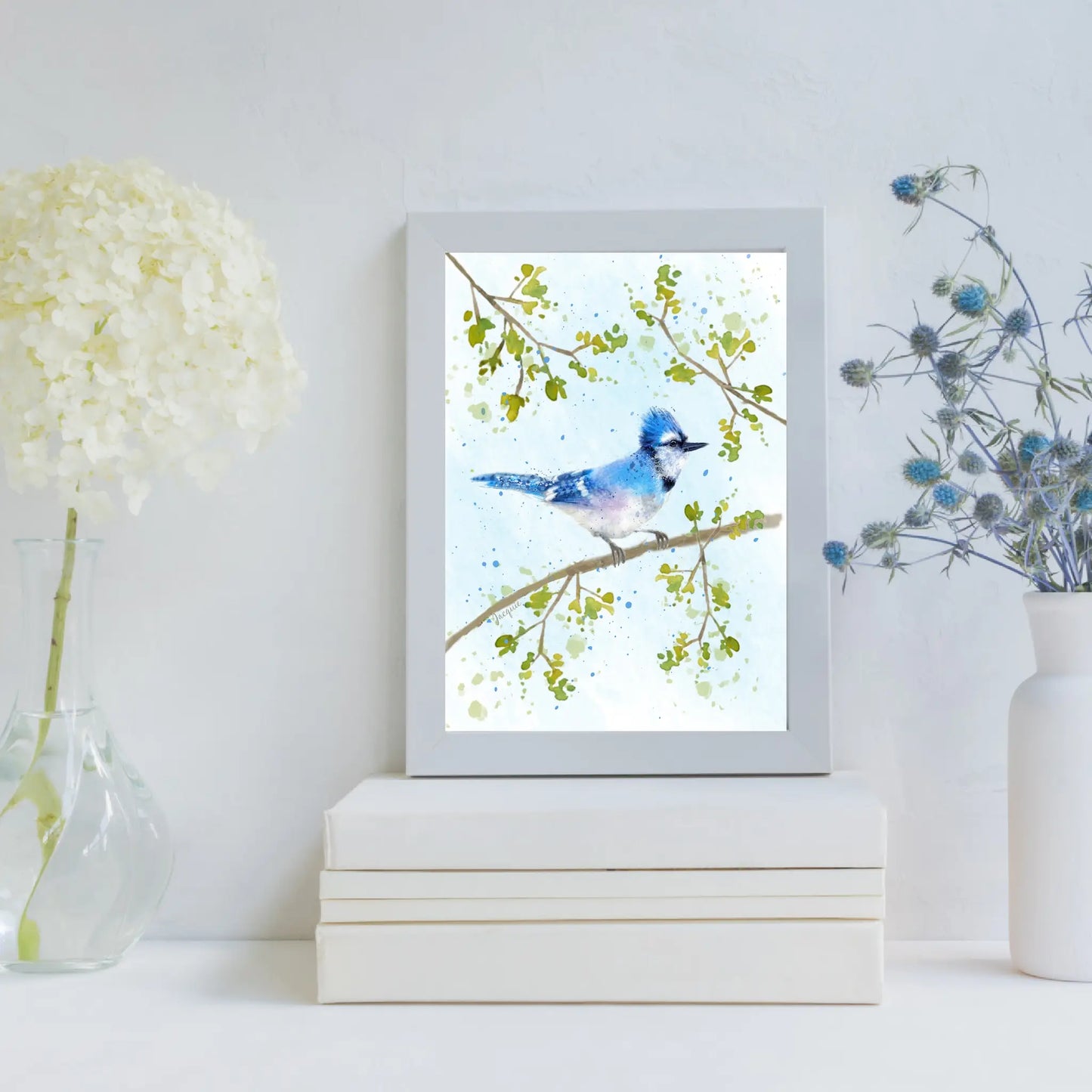 Blue Jay