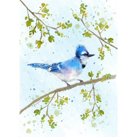 Blue Jay