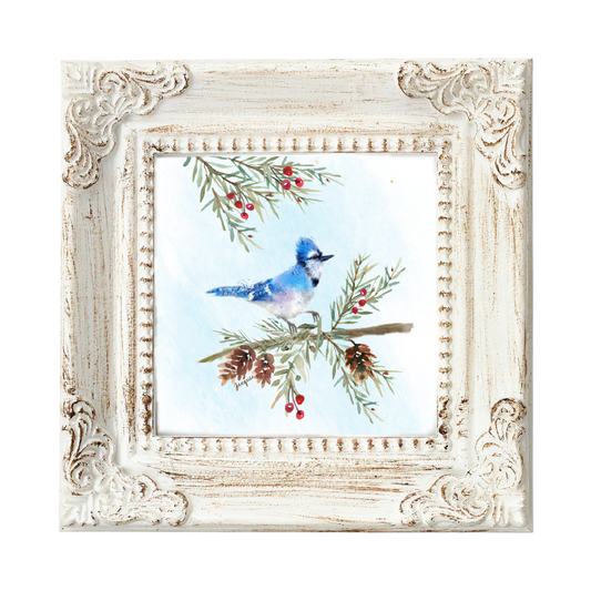 Blue Jay in the Pine Boughs