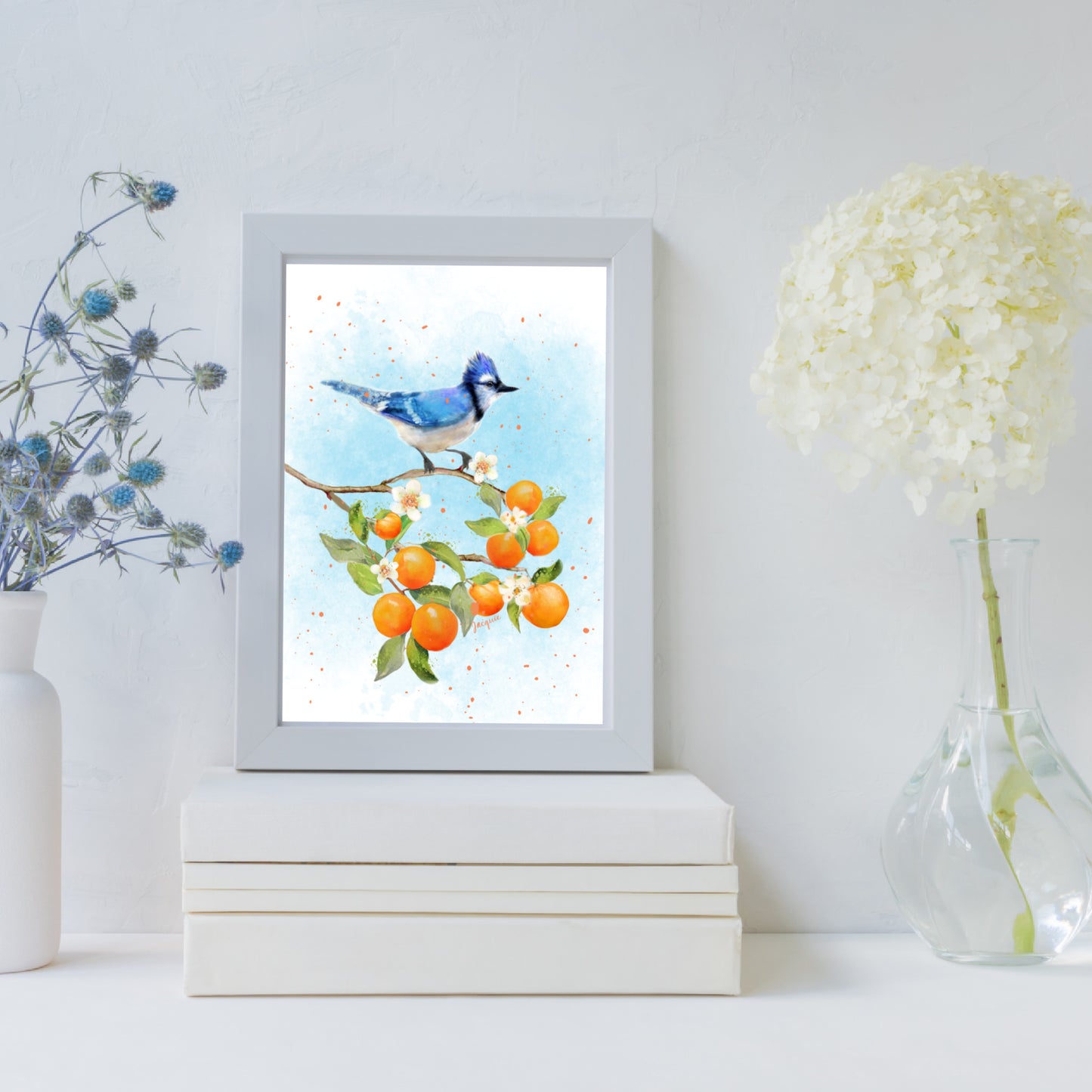 Blue Jay & Oranges