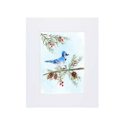 Blue Jay in the Pine Boughs