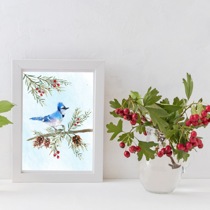 Blue Jay in the Pine Boughs