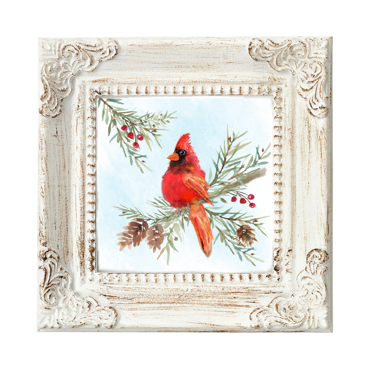 Cardinal in the Pine Boughs