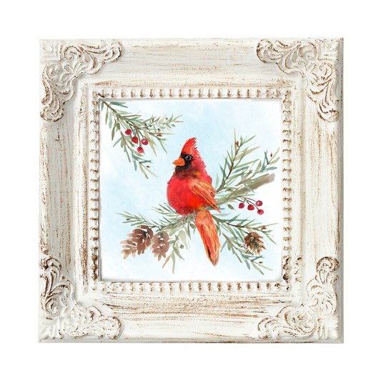 Cardinal in the Pine Boughs