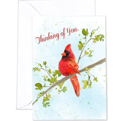Cardinal - Thinking of You.