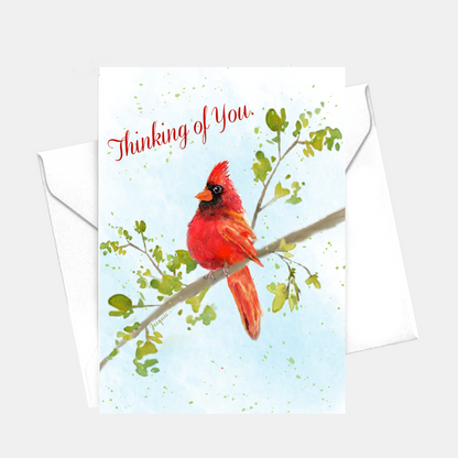 Cardinal - Thinking of You.