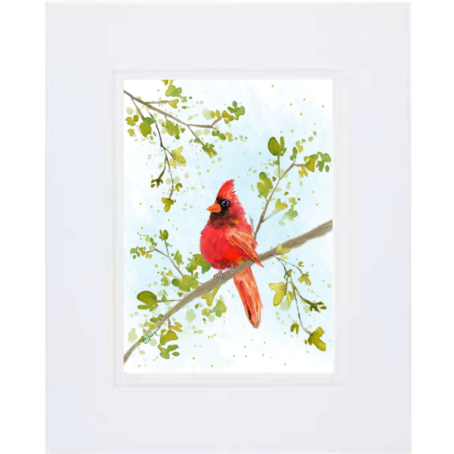 Cardinal in a tree