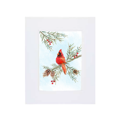 Cardinal in the Pine Boughs