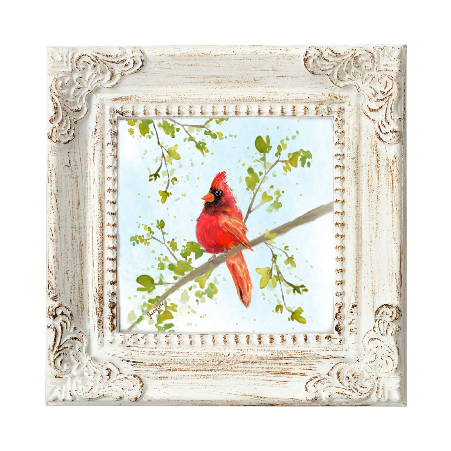 Cardinal in a tree