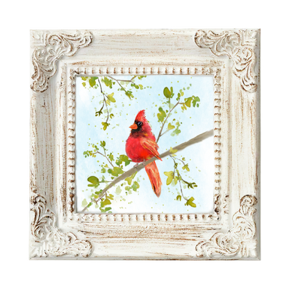Cardinal in a tree