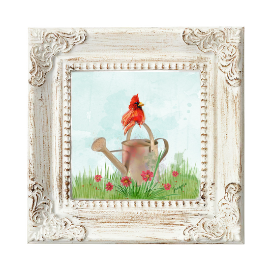 Cardinal & Watering Can