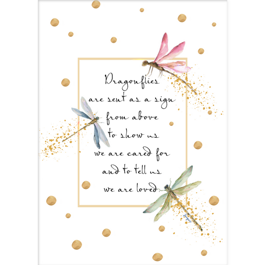 Dragonflies