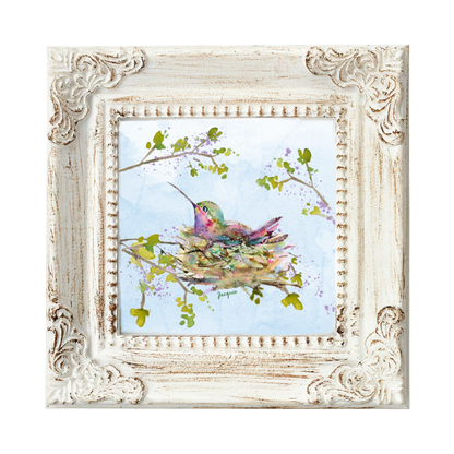 Hummingbird in Nest