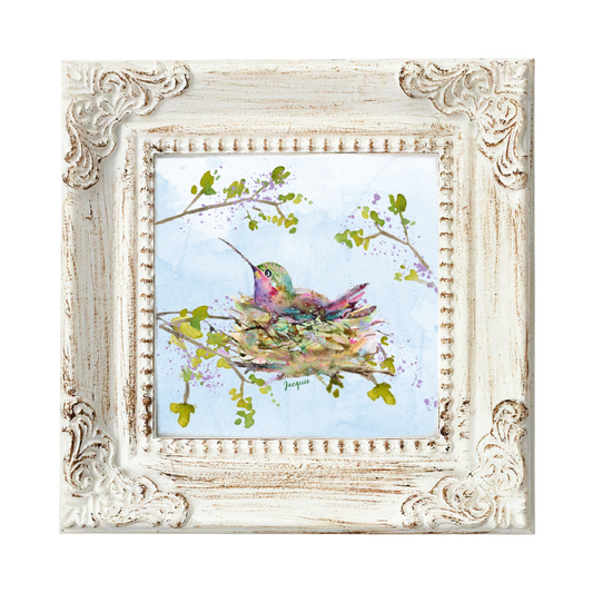 Hummingbird in Nest