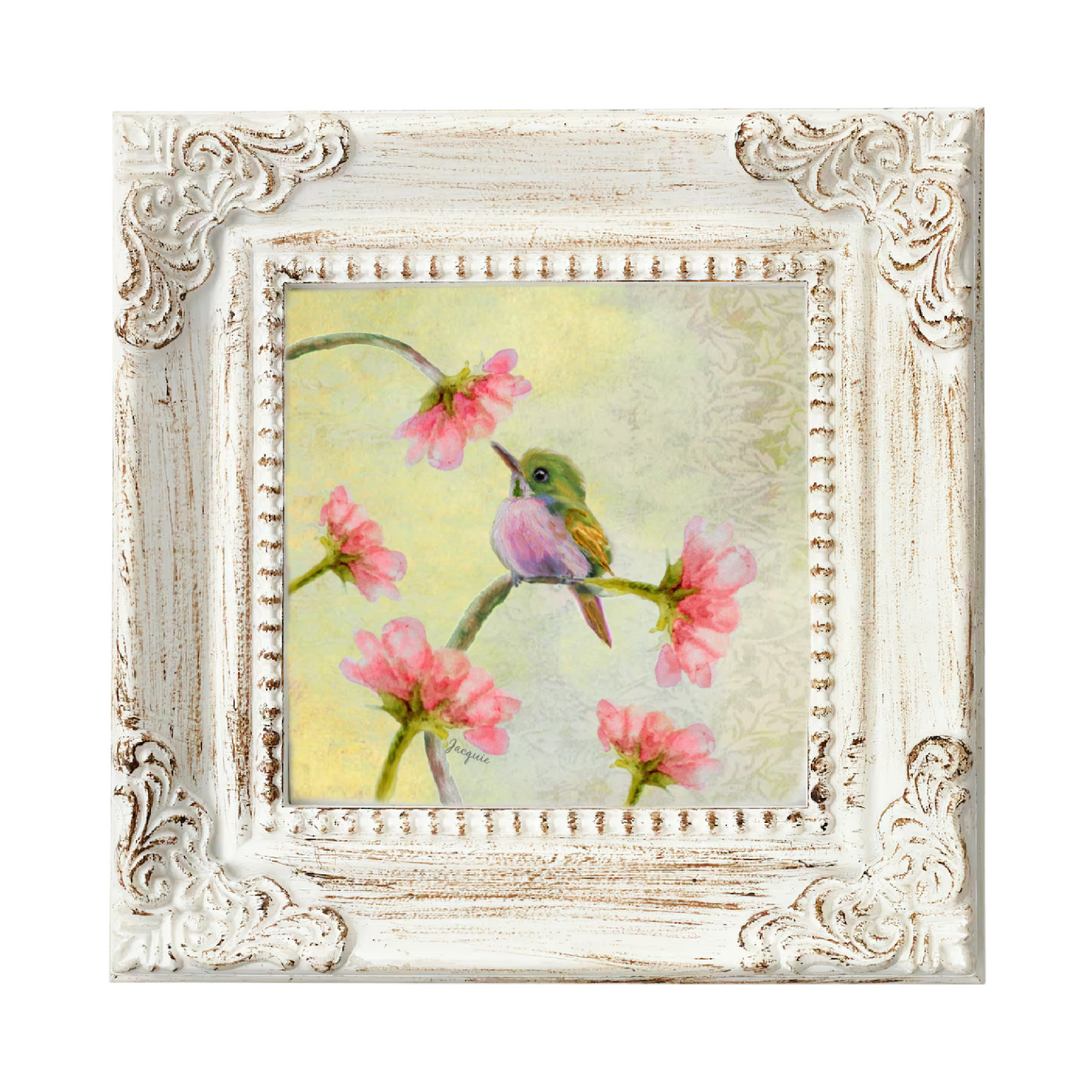 Hummingbird Baby