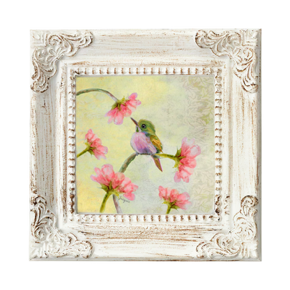 Hummingbird Baby