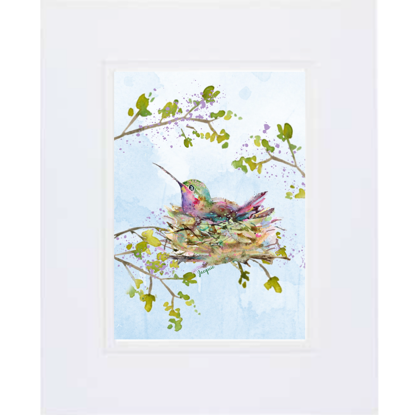 Hummingbird in Nest