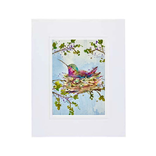 Nesting Mama Hummingbird