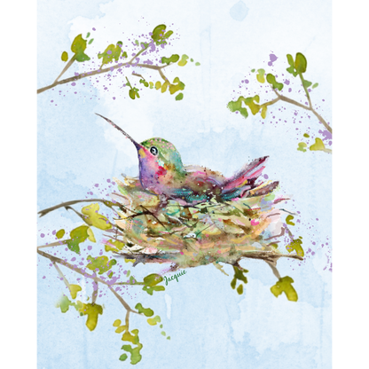 Hummingbird in Nest