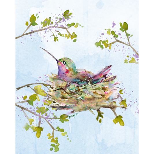 Hummingbird in Nest