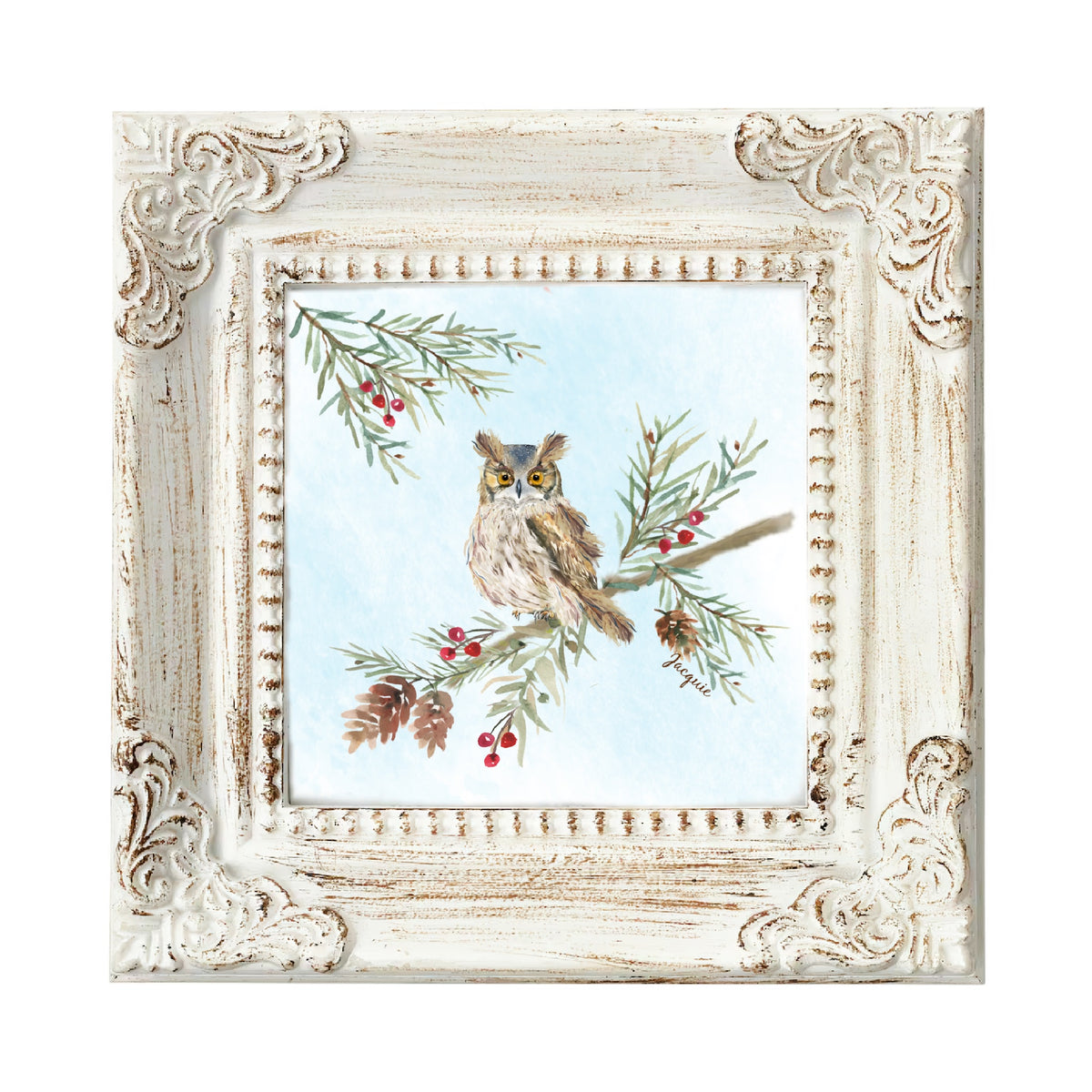 Owl in Pine Boughs
