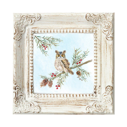 Owl in Pine Boughs