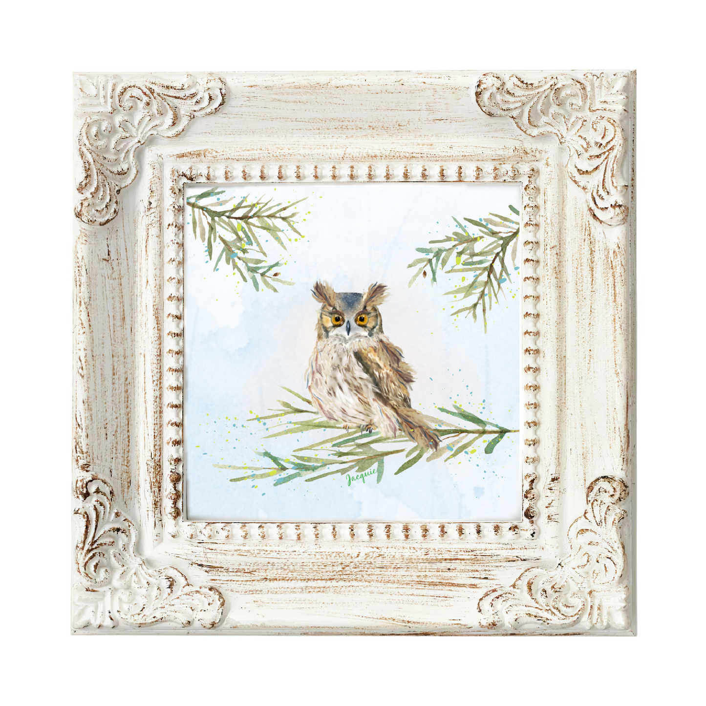Owl in the Woods