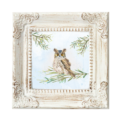 Owl in the Woods