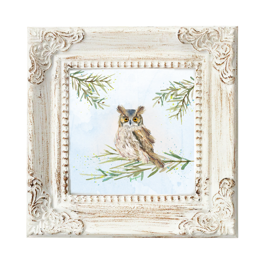Owl in the Woods