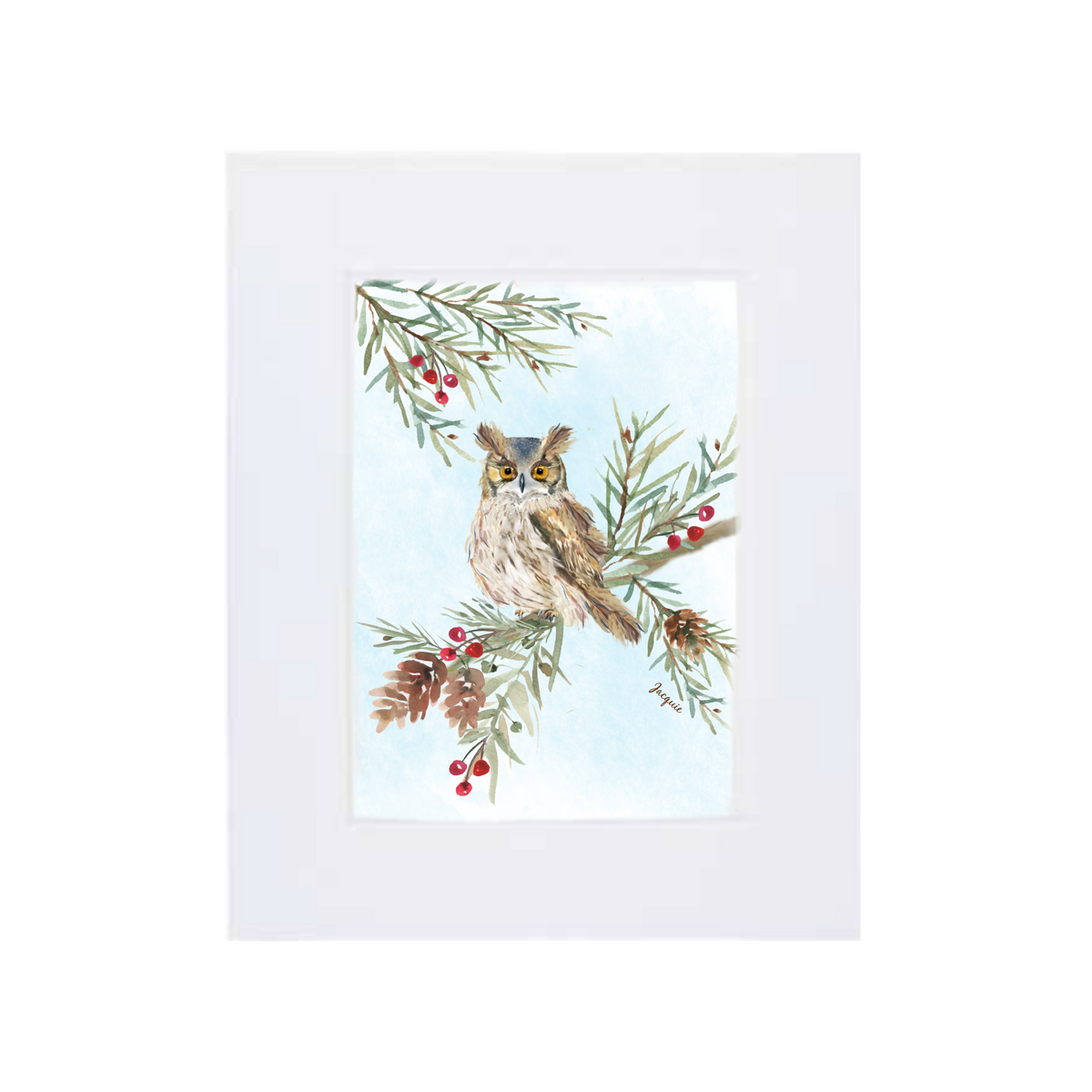 Owl in Pine Boughs