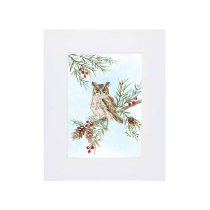 Owl in Pine Boughs