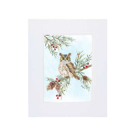 Owl in Pine Boughs