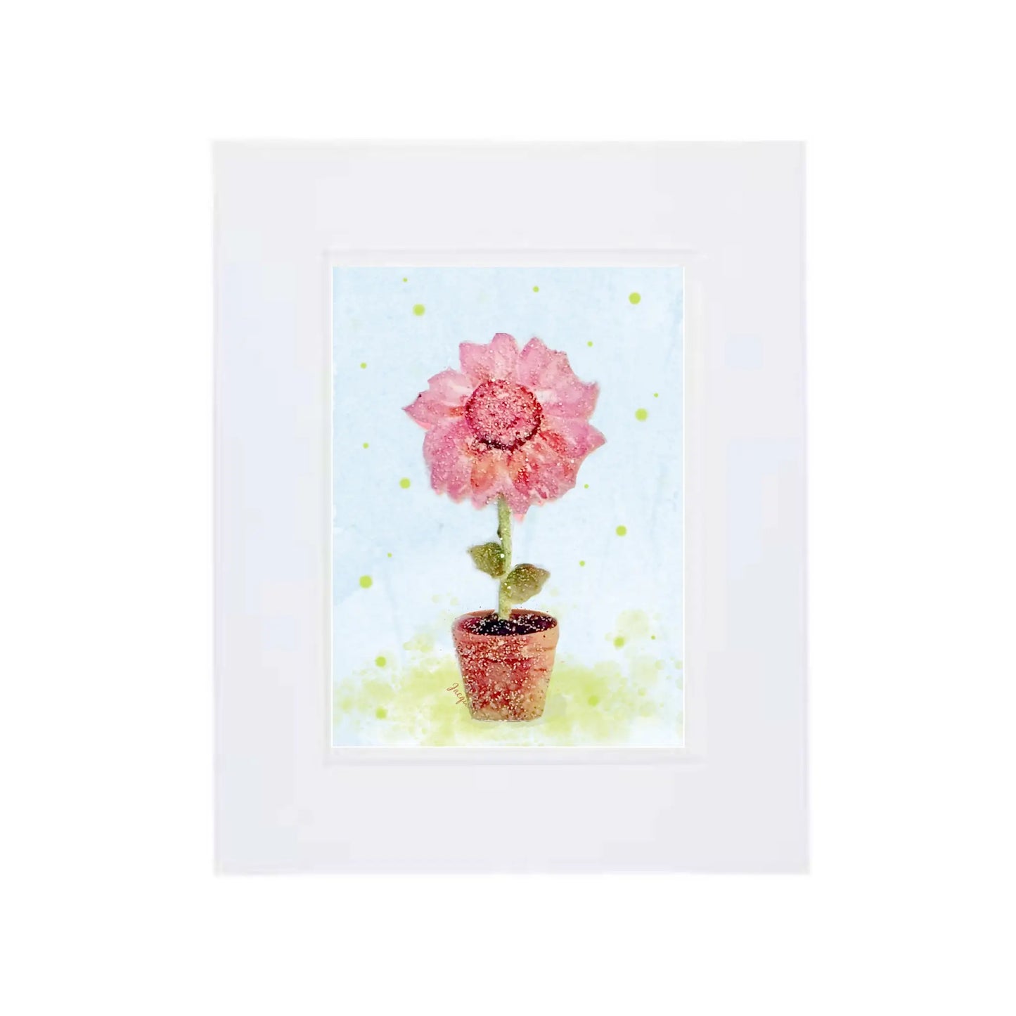 Pink Sunflower
