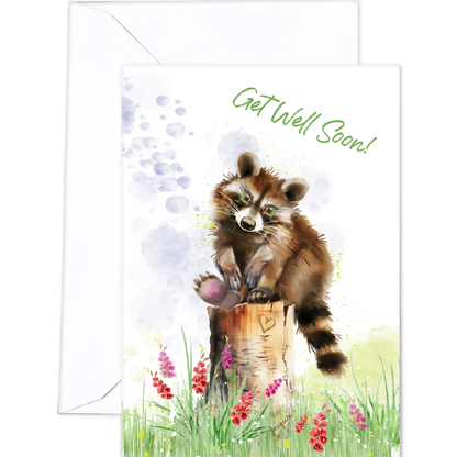 Raccoon