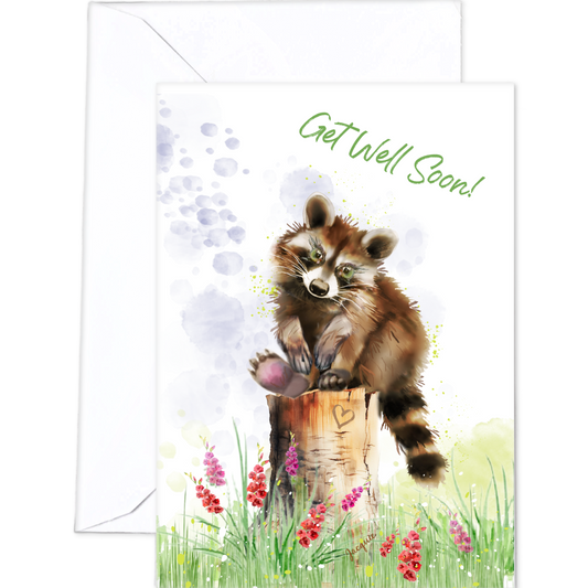 Raccoon