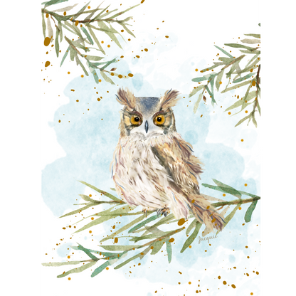 Owl in the Woods